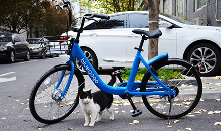 共享单车行业崩盘加速 谁为用户押金做主？