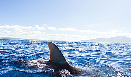 搜索引擎算法出现,如何让文章变得更有利于用户价值 搜索引擎算法出现,如何让文章变得更有利于用户价值