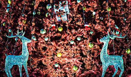 2898站长资源平台 | 暖心的圣诞节来袭,一起加入抢购吧! 2898站长资源平台 | 暖心的圣诞节来袭,一起加入抢购吧!