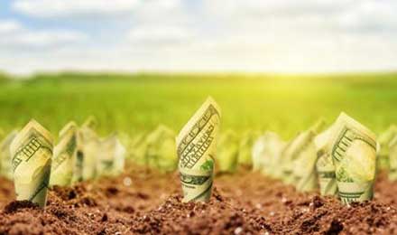 P2P转型三农金融，前景如何？