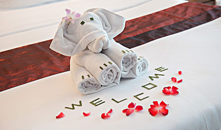 5个4年以上老站和上百万高收录友链荐!荐!荐! 5个4年以上老站和上百万高收录友链荐!荐!荐!