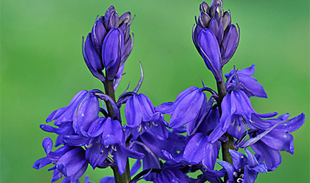 推荐几个2898平台新闻媒体行业优质友情链接购买 推荐几个2898平台新闻媒体行业优质友情链接购买