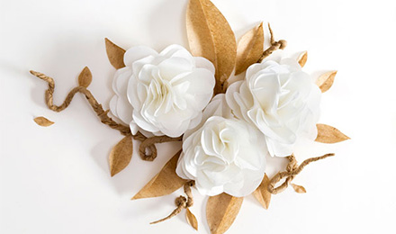 看2898友链如何让你操作起网站优化如鱼得水 看2898友链如何让你操作起网站优化如鱼得水