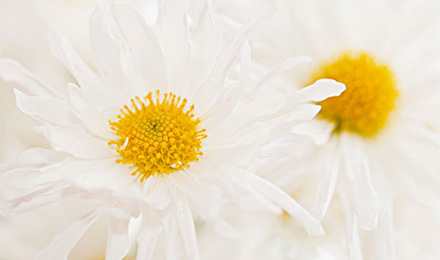 点进来!与IT技术有关的行业进行免费交换链接 点进来!与IT技术有关的行业进行免费交换链接