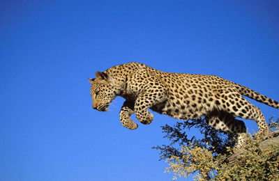 网站SEO问题集锦（十一），新的一年新的开始！