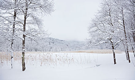 2898平台有哪些权重等级较高的校园类友链? 2898平台有哪些权重等级较高的校园类友链?