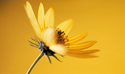 比任何一个平台都优质的站长资源平台链接交易 比任何一个平台都优质的站长资源平台链接交易