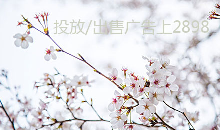 2018春节热销季!站长资源平台月付网站广告降价啦! 2018春节热销季!站长资源平台月付网站广告降价啦!