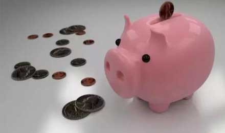 阿里也投身养猪大业!人工智能帮母猪多生3个仔 阿里也投身养猪大业!人工智能帮母猪多生3个仔