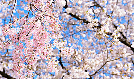 2018假期结束上班没力气？开工红包助你复活动力