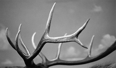 如何击败同类产品称霸独一无二,你需要走在上帝的前面 如何击败同类产品称霸独一无二,你需要走在上帝的前面