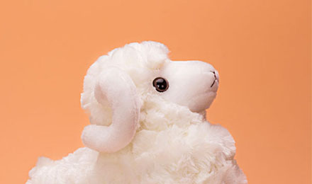 站长加入这个平台就疯了,原来广告还可以这样赚钱 站长加入这个平台就疯了,原来广告还可以这样赚钱