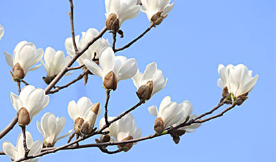 3月初春,这6个链接优质商品竟然可以一次性购买 3月初春,这6个链接优质商品竟然可以一次性购买