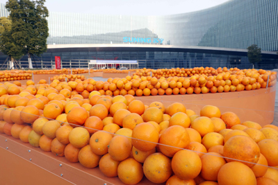 从冰糖橙到永胜蒜,张近东为哪些滞销农产品推广做代言? 从冰糖橙到永胜蒜,张近东为哪些滞销农产品推广做代言?