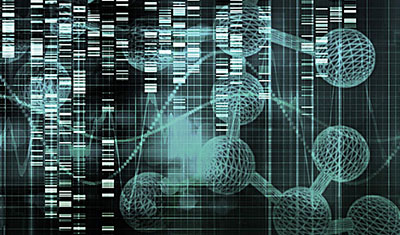 交换生活服务链接，上2898站长资源申请