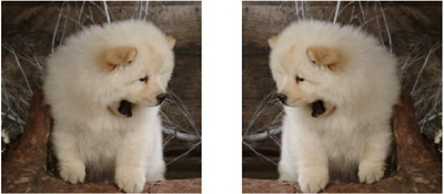 谷歌放大招:数据增强实现自动化 谷歌放大招:数据增强实现自动化