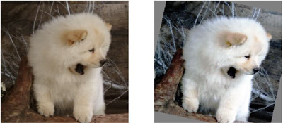 谷歌放大招:数据增强实现自动化 谷歌放大招:数据增强实现自动化