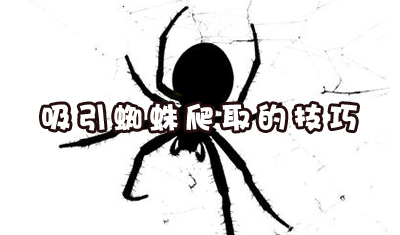 搜索引擎蜘蛛抓取失败的原因有哪些？如何吸引蜘蛛爬取？