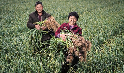 拼多多“以拼代捐”创造精准扶贫新型模式带农户致富