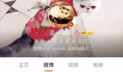 网红“猫娘”落网,当用强力手段打击新型售假 网红“猫娘”落网,当用强力手段打击新型售假