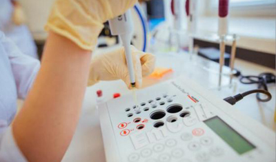 因哈佛大学专家论文造假,美政府暂停心脏干细胞研究 因哈佛大学专家论文造假,美政府暂停心脏干细胞研究