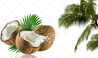 新零售收益高 投资低 王小椰椰子自动售货机创业好项目