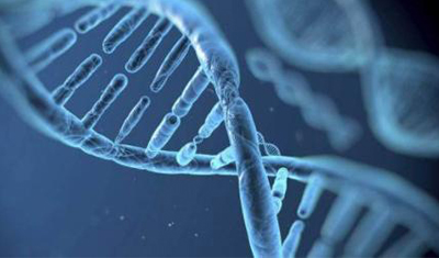 基因编辑婴儿诞生：突破了伦理禁忌人类还怎么生而平等？