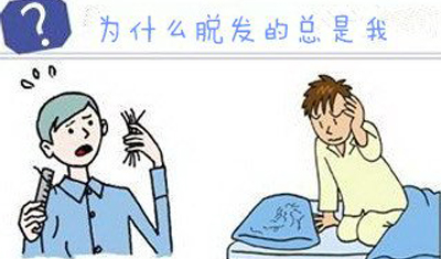 1544597272345819.jpg 0 副本.jpg