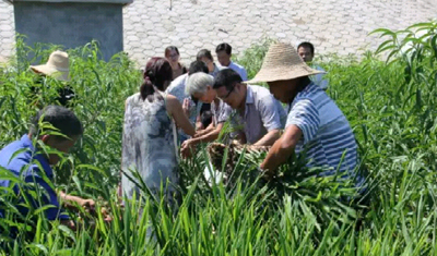 1545701369857179.jpg 0 副本.jpg