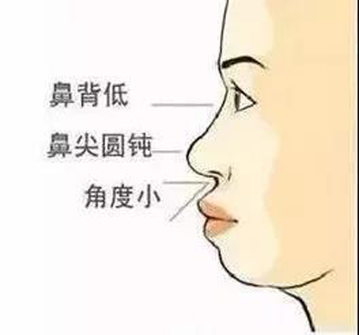 1547880654542303.jpg 4.jpg