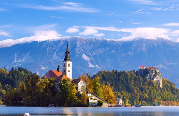 1551680150523418.jpg 1551680150523418.jpg