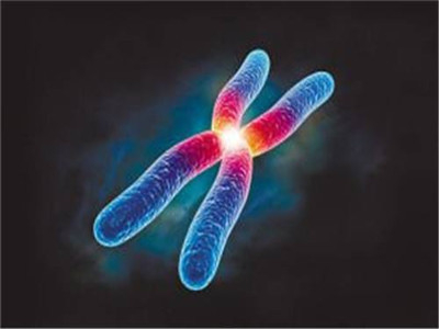 1551680330741323.jpg oYYBAFx1CrKALZFCAADQE_x_PO8178.jpg