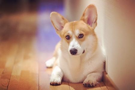 1553134735265786.jpg 1553134735265786.jpg