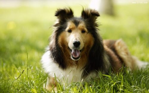 1553135200253531.jpg 1553135200253531.jpg