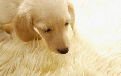 1553135695417046.jpg 1553135695417046.jpg