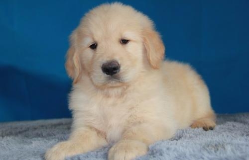 1553135708864466.jpg 1553135708864466.jpg