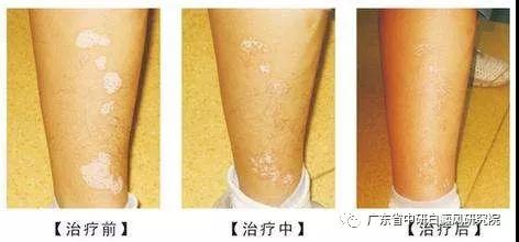 1553583629502466.jpg 1553506378145609.jpg