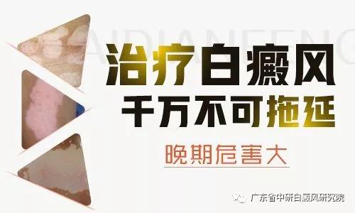 1553583644671025.jpg 1553506392861874.jpg