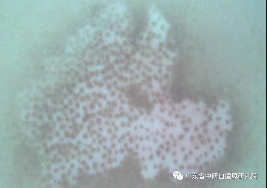 1553583655592467.jpg 1553506402733857.jpg