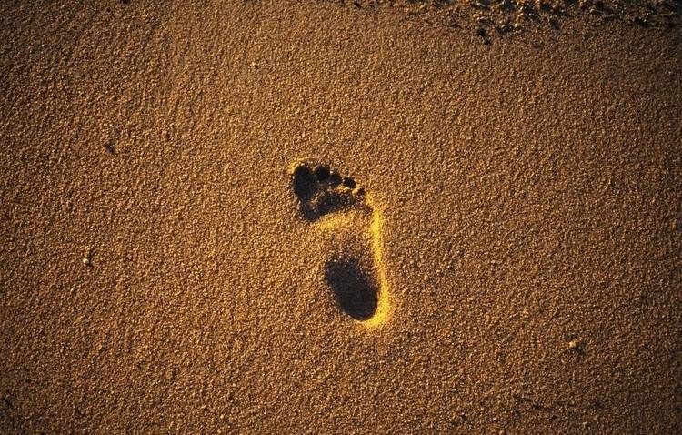 1561088385990638.jpg timg (11).jpg