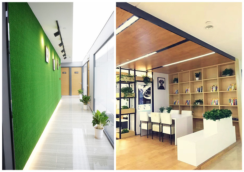 1561816464998852.jpg 1560328057pizq3.jpg