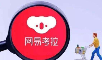 阿里动物园20亿美元买下考拉