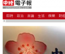 中时电子报