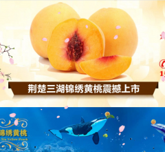 荆楚三湖锦绣黄桃