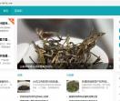 茶叶网