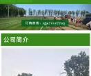 河北鑫硕草坪种植基地