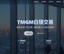 TMGM白银交易