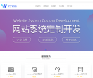 网站系统开发