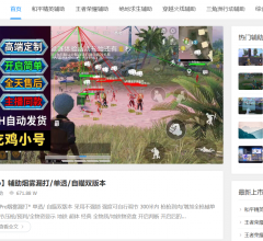 和平精英辅助网