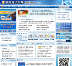 中国电子口岸